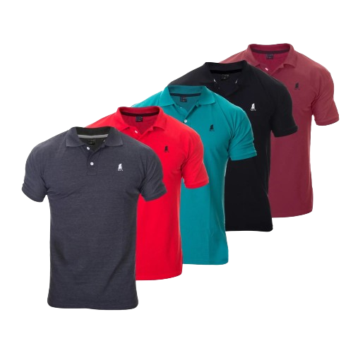 kit camisa polo-compre 1 leve 5