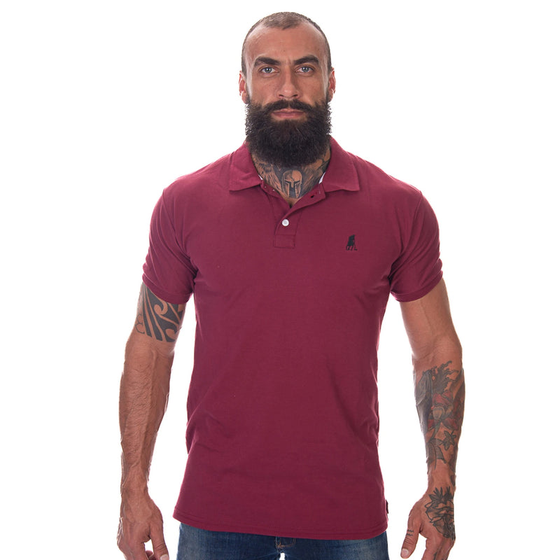 kit camisa polo-compre 1 leve 5